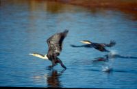 Sundowner in Ubumanzi